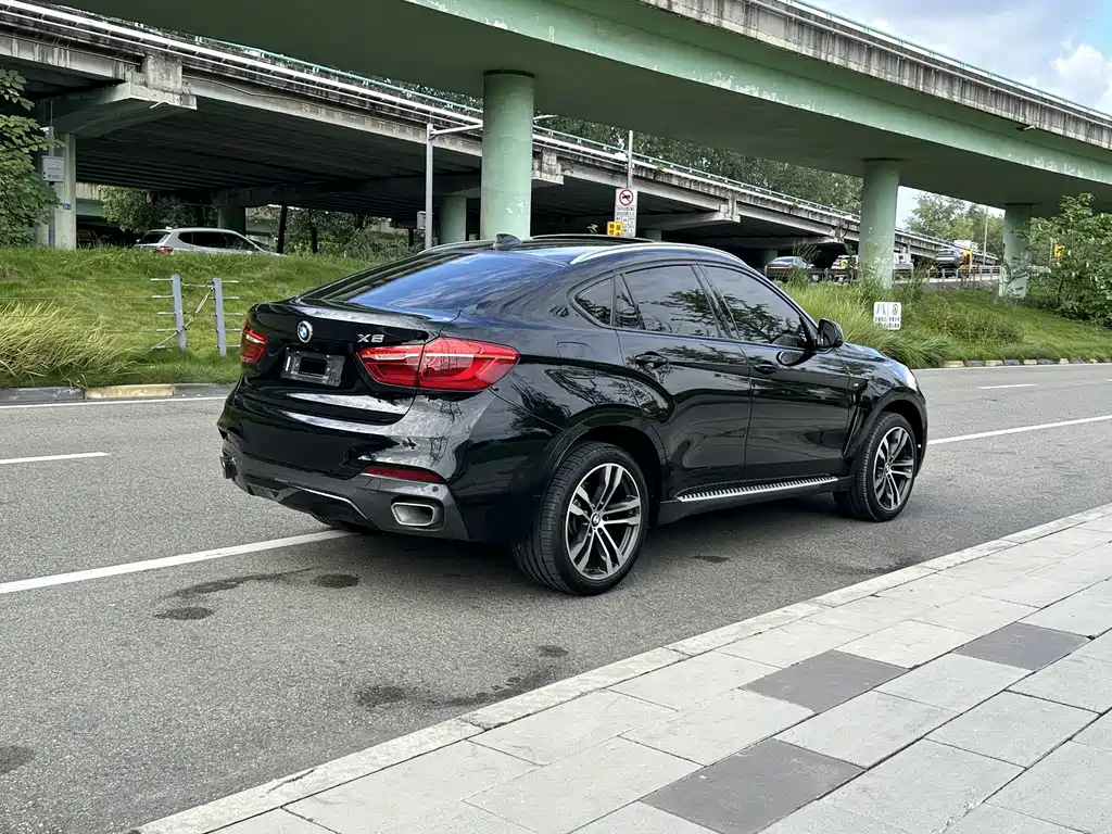 BMW X6 — миниатюра 15