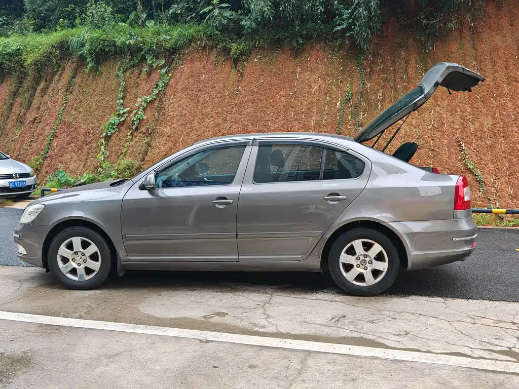 Skoda Octavia — миниатюра 7