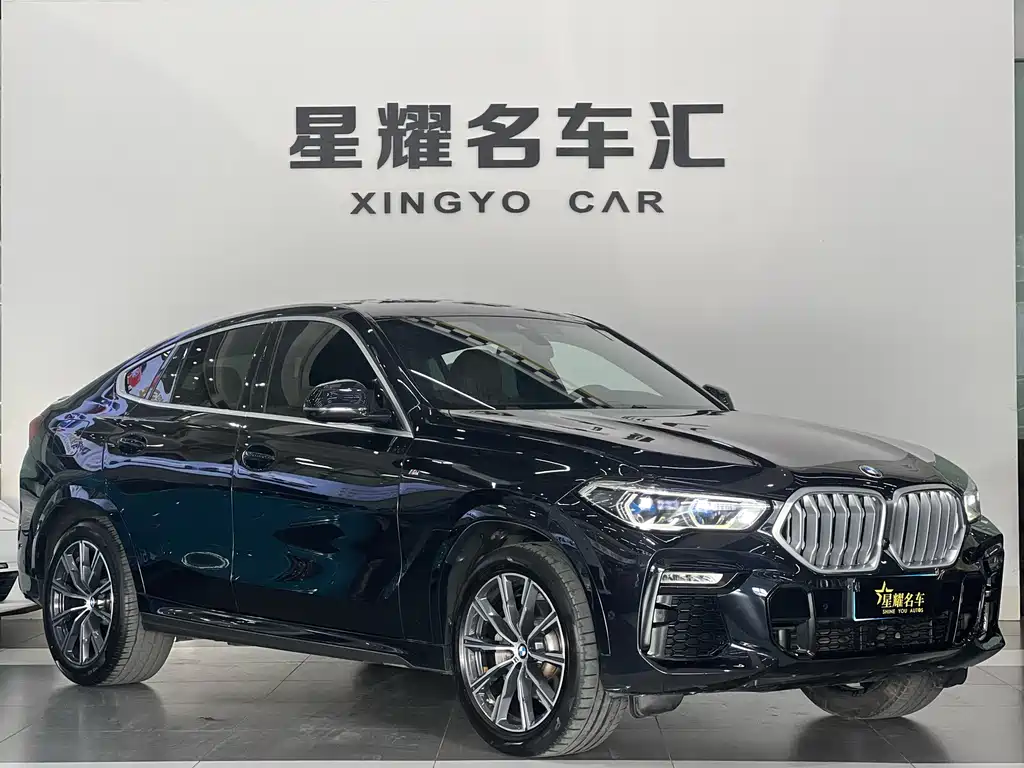 BMW X6