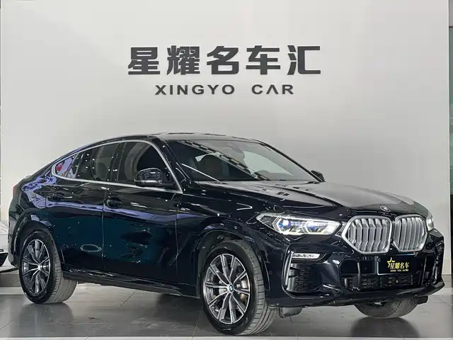 BMW X6