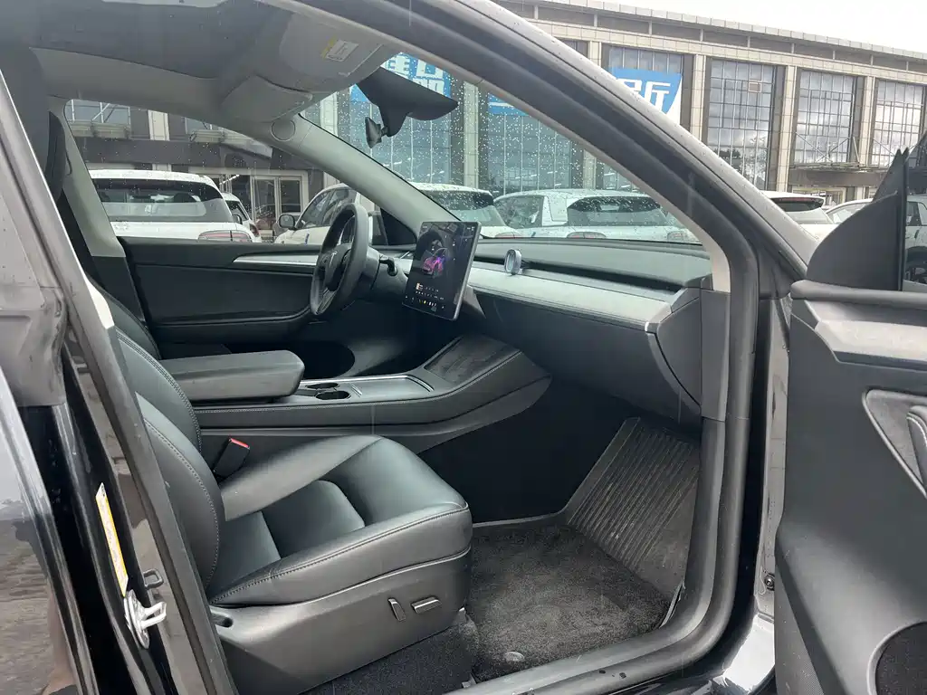 Tesla Model Y — миниатюра 4