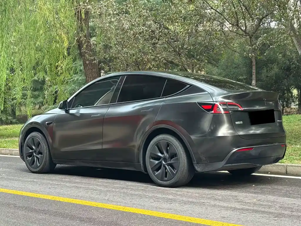 Tesla Model Y — миниатюра 4