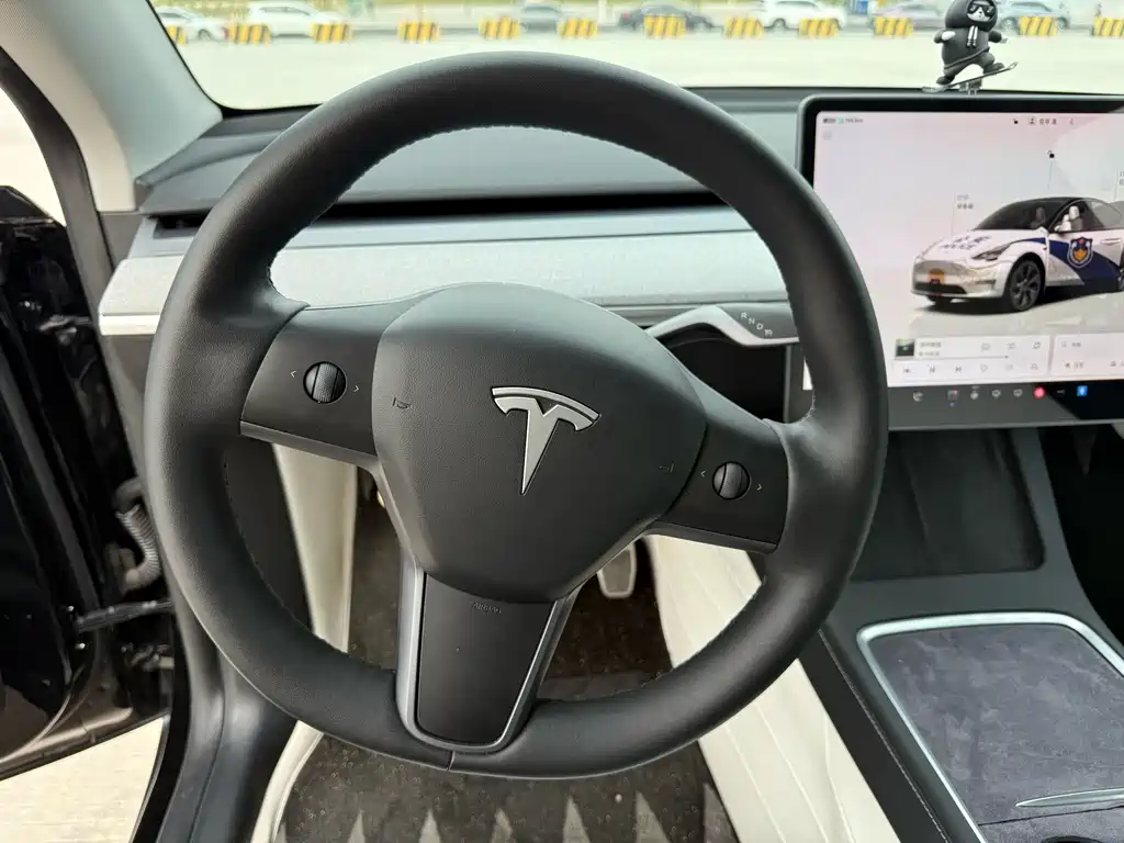 Tesla Model Y — миниатюра 13