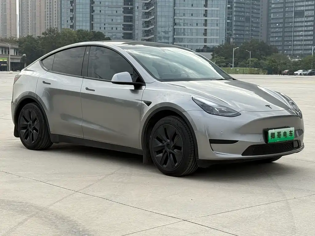 Tesla Model Y — миниатюра 3