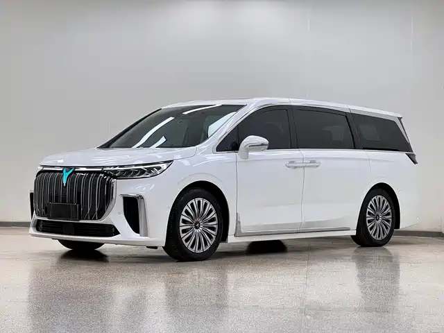 2024 Voyah Dream