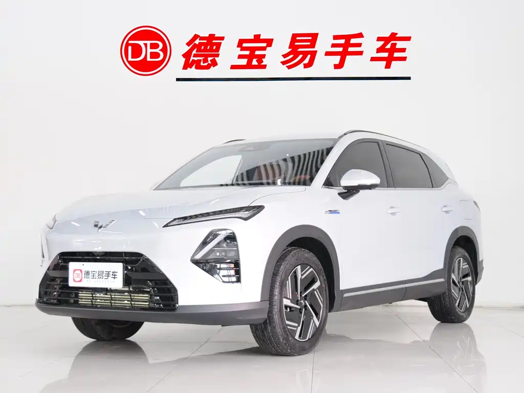 WULING WULING XINGGUANG S