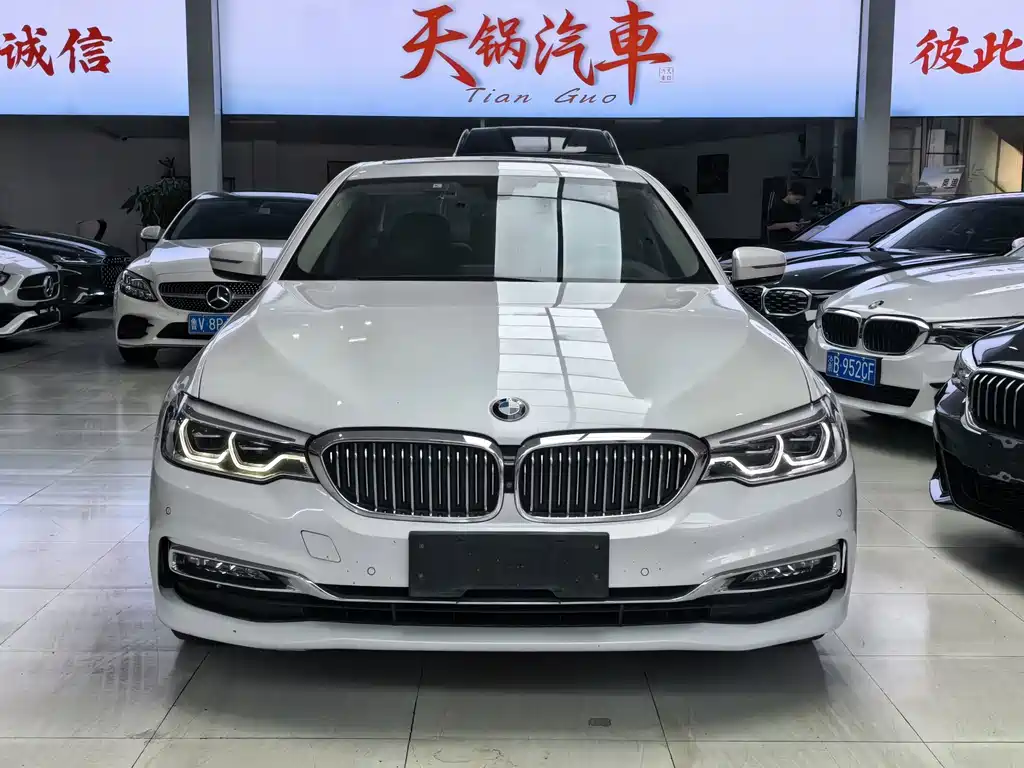 BMW 5 Series 5 2018 530Li Premium Luxury
