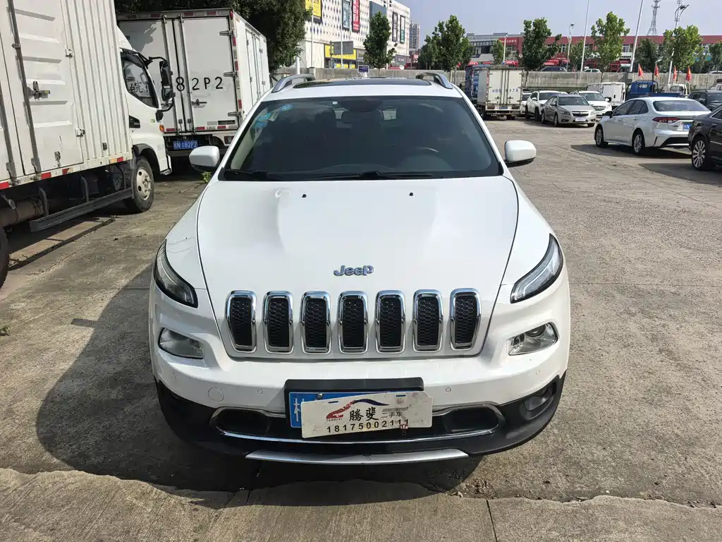 Jeep Cherokee 2.4L Professional Edition, фото 2