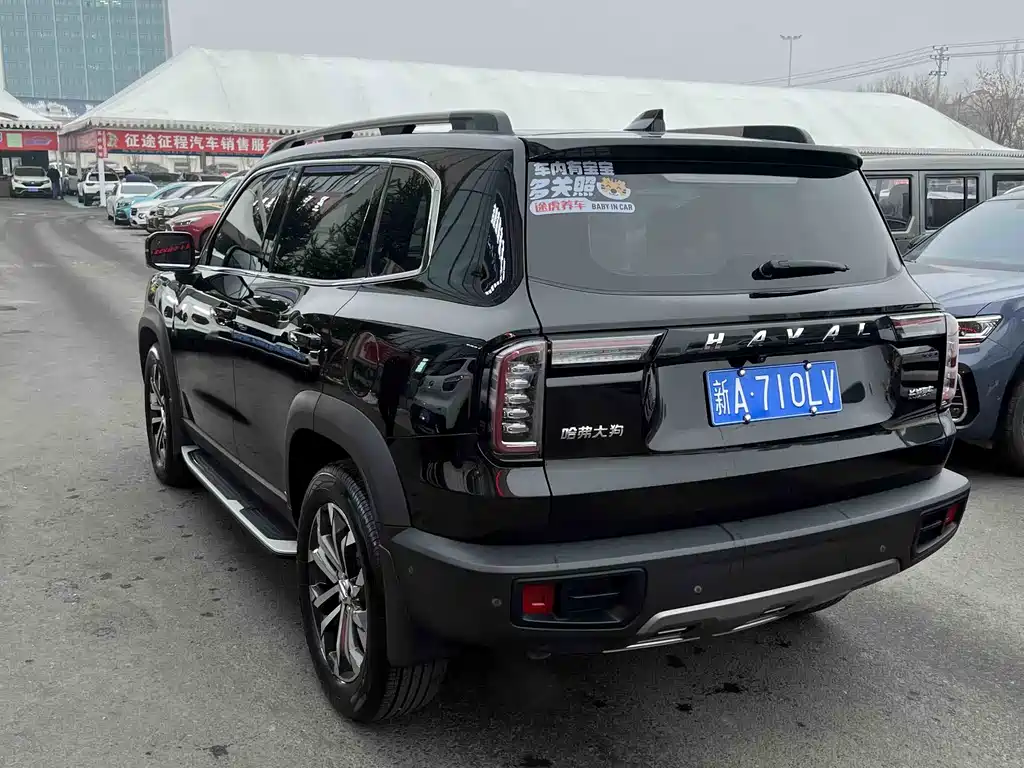 HAVAL BIG DOG
