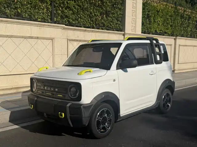 2023 Geely LC (Panda)