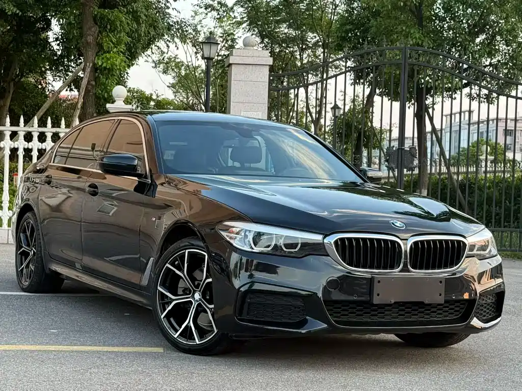 BMW 5 Series 5 2020 525Li M Sport