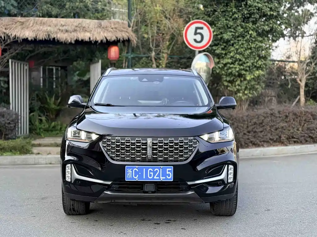 WEI PAI WEI BRAND VV6