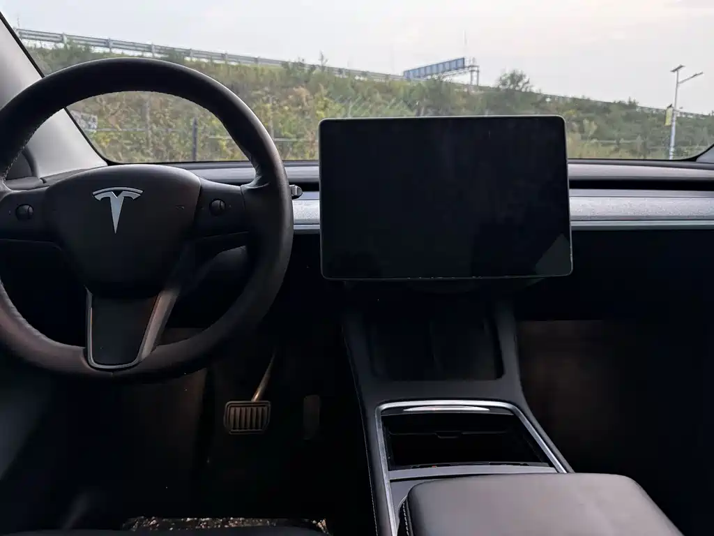 Tesla Model Y — миниатюра 15