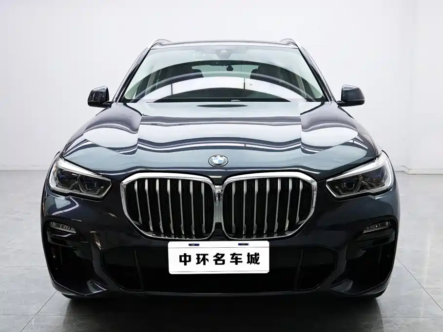 BMW X5 (Import) xDrive40i M Sport Package, фото 2