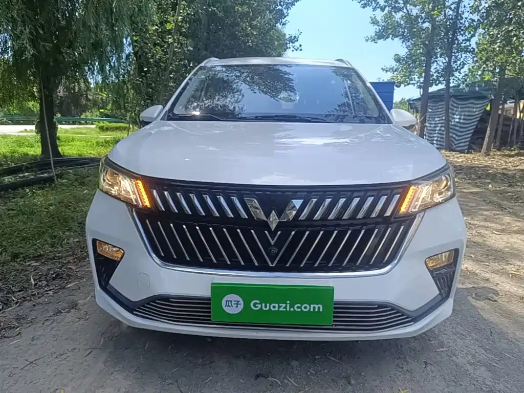Wuling Jiachen — миниатюра 3