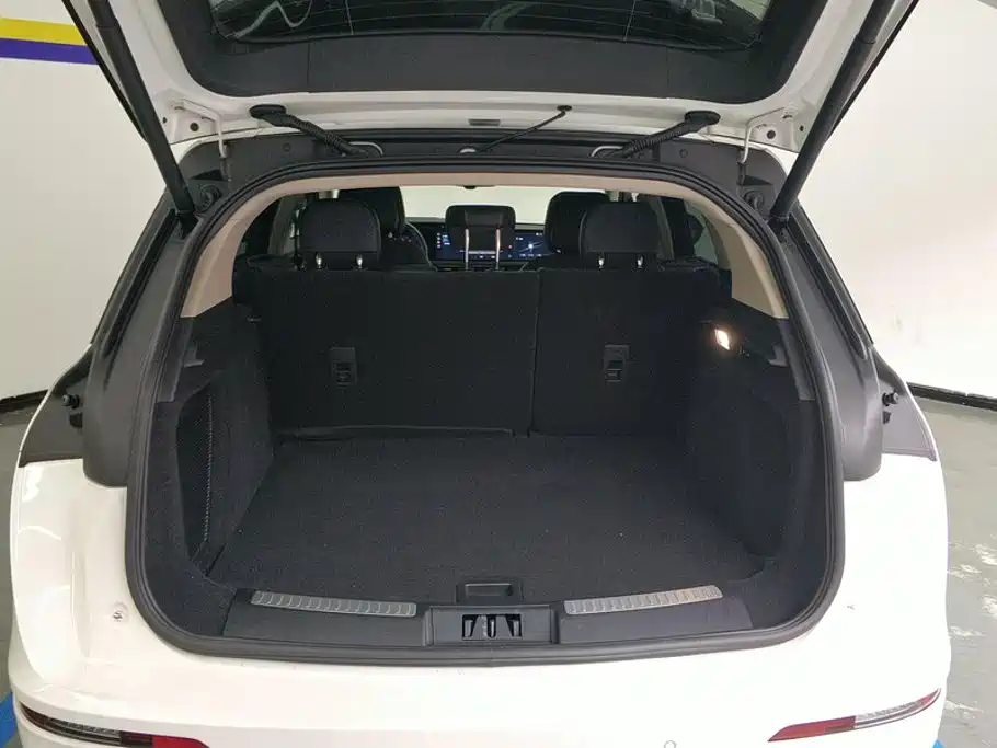 Lincoln Corsair 2.0T 4WD Premium Shine Edition, фото 4