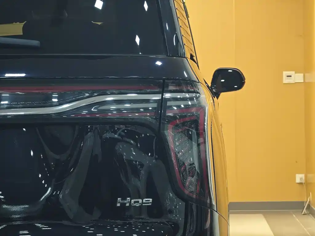 Hongqi Hongqi HQ9 — миниатюра 28
