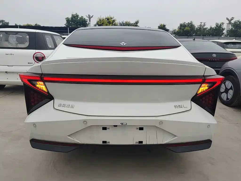 Lingxi Lingxi L — миниатюра 6