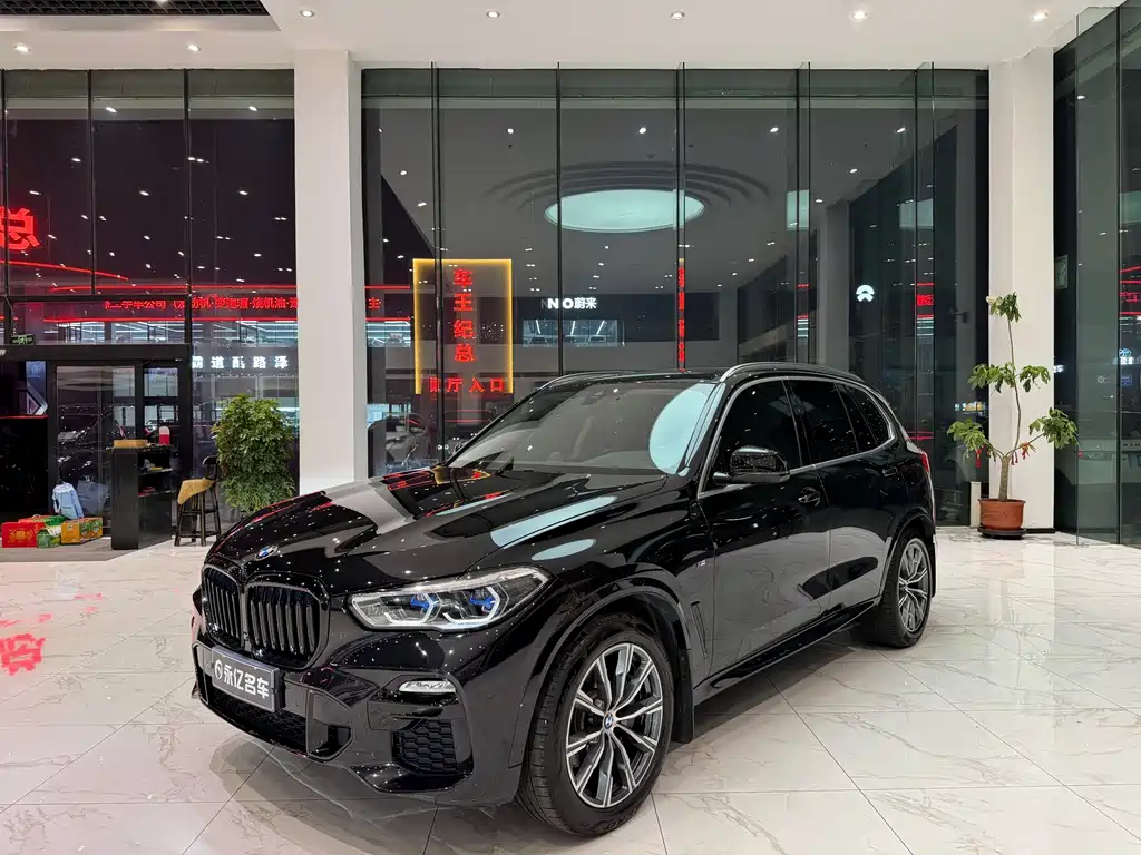 BMW X5 (Import) — миниатюра 3