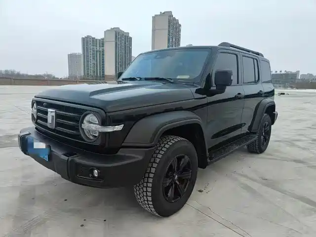 2024 TANK 300
