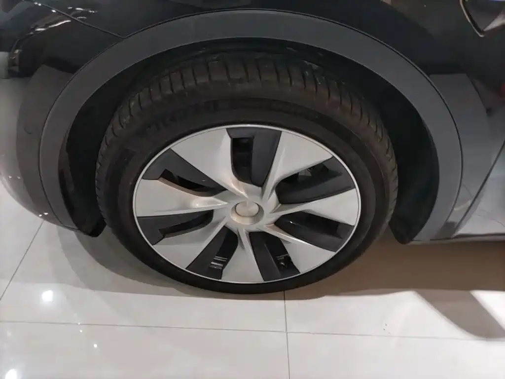 Tesla Model Y — миниатюра 23
