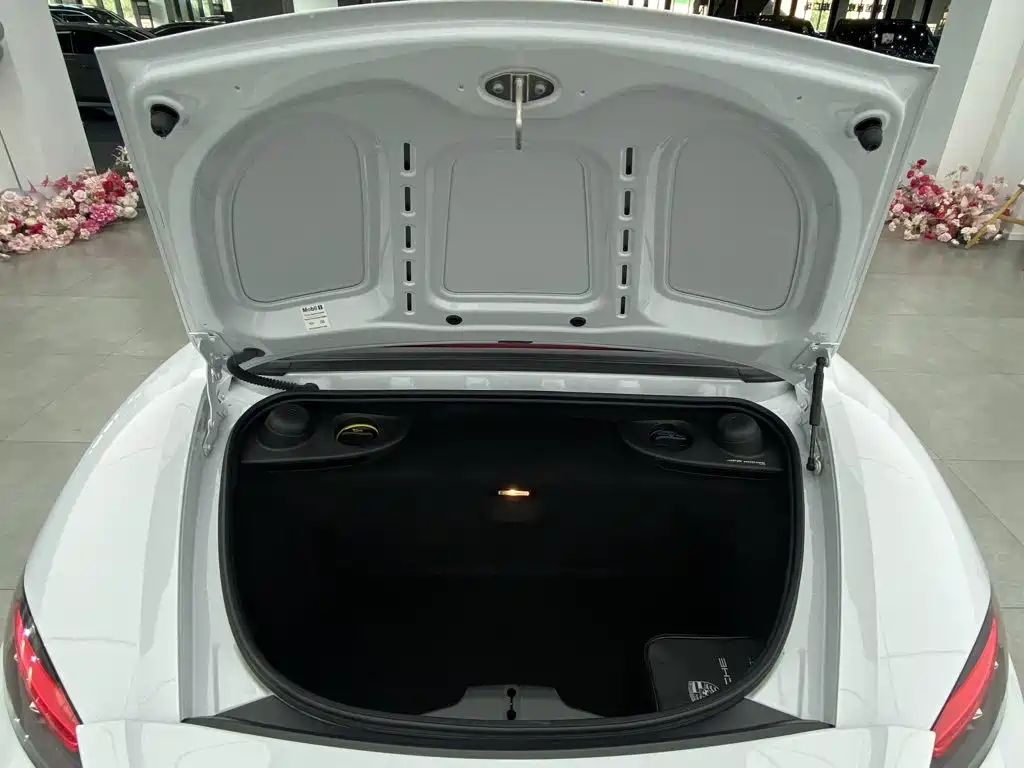 Porsche 718 — миниатюра 3