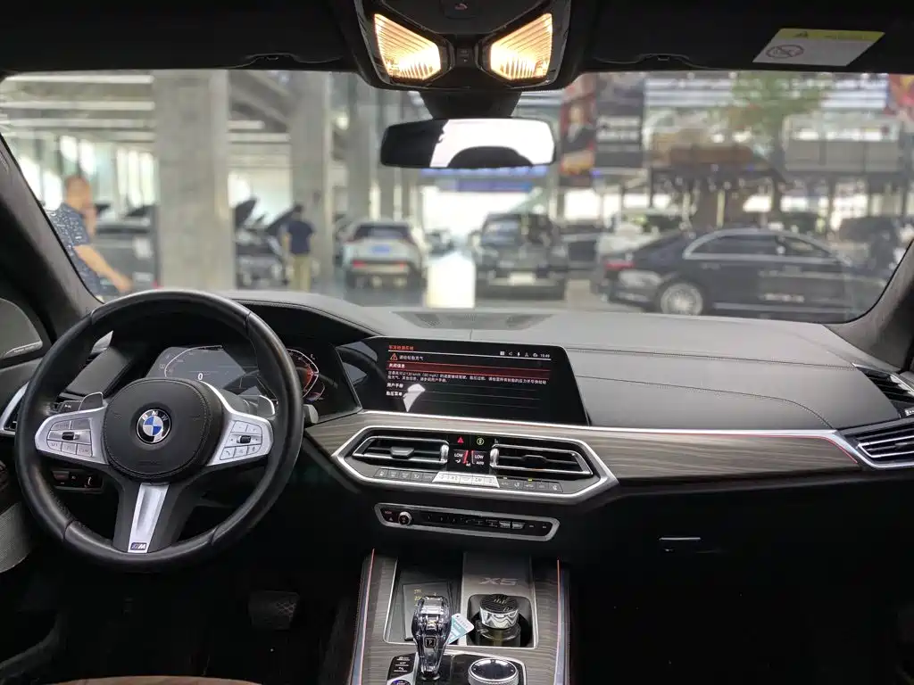BMW X5 — миниатюра 8