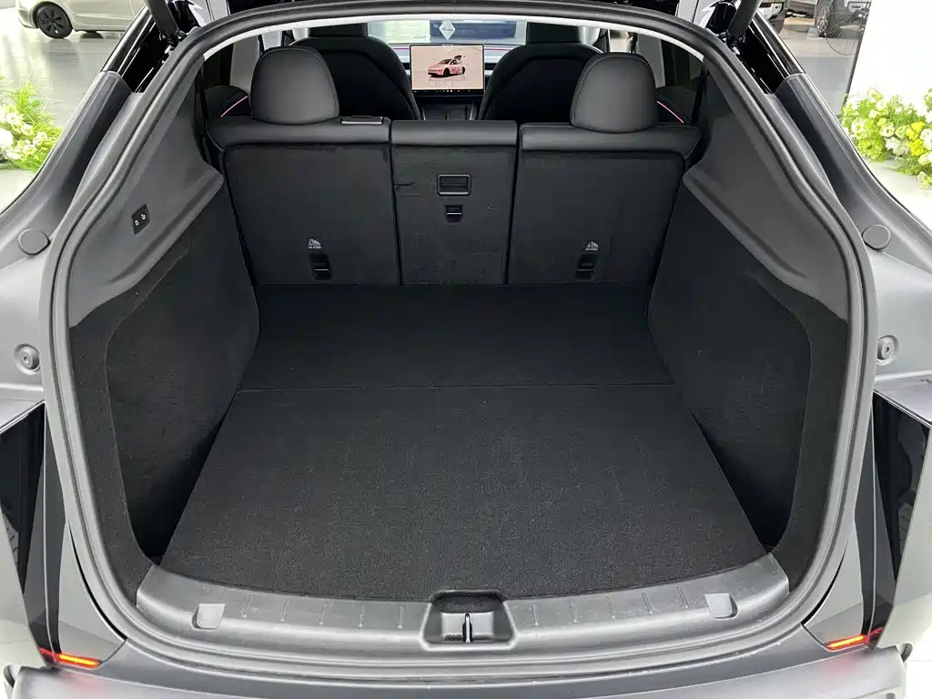 Tesla Model Y — миниатюра 9