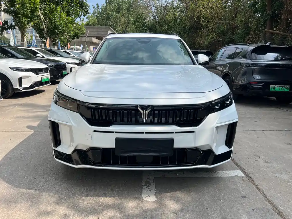 Voyah Free 2025 318 318km