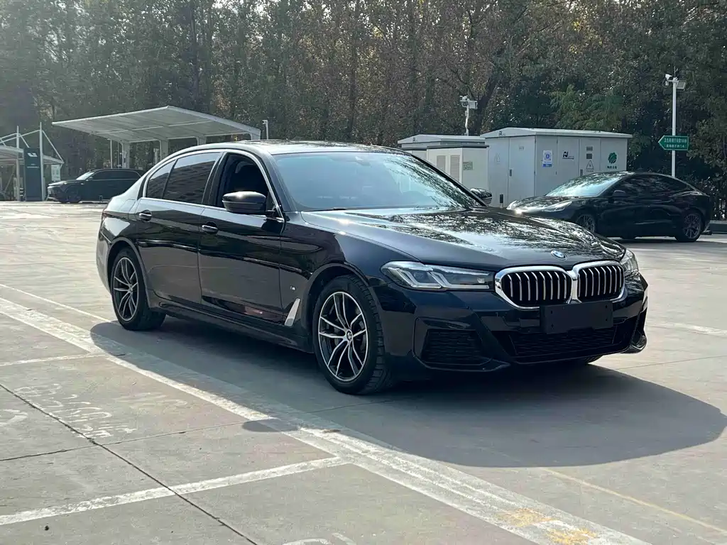 BMW 5 Series New Energy — миниатюра 3