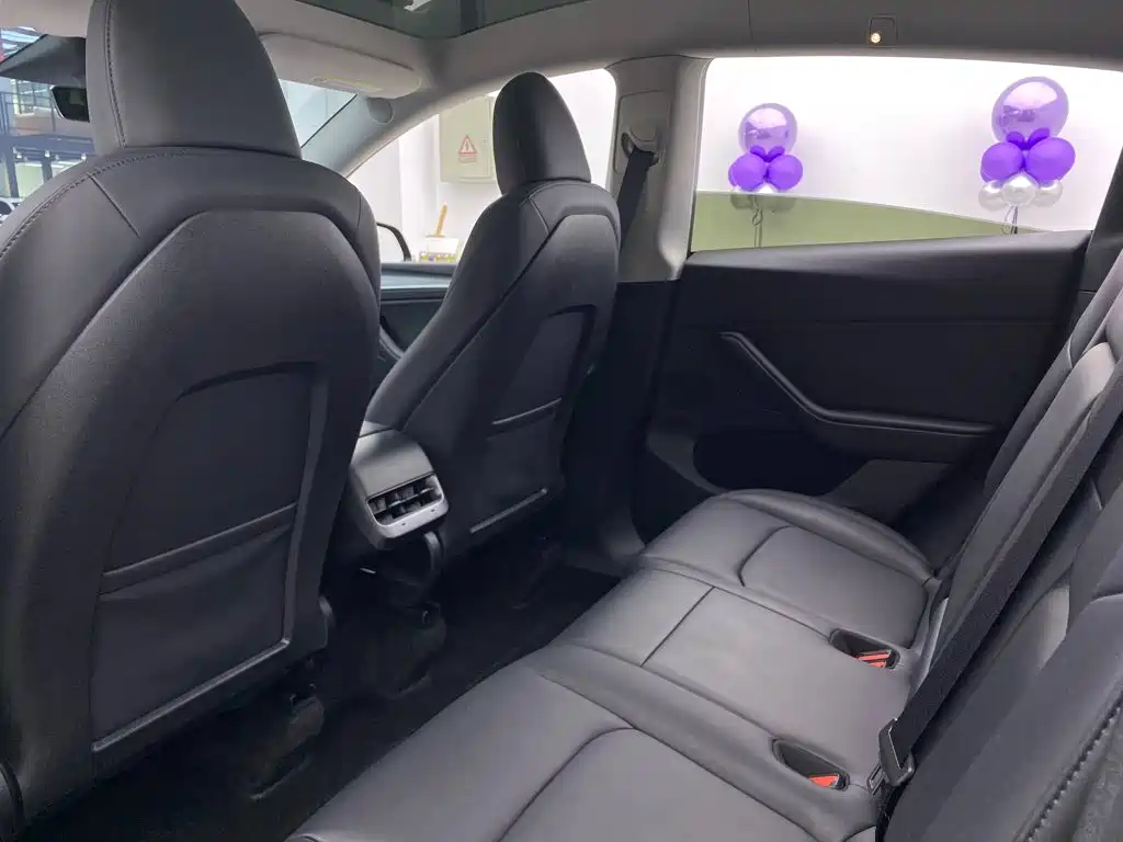 Tesla Model Y — миниатюра 28