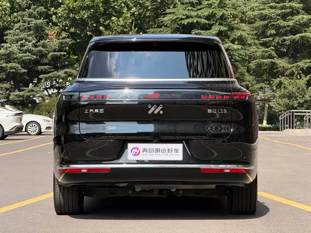 IM IM LS9 — миниатюра 5