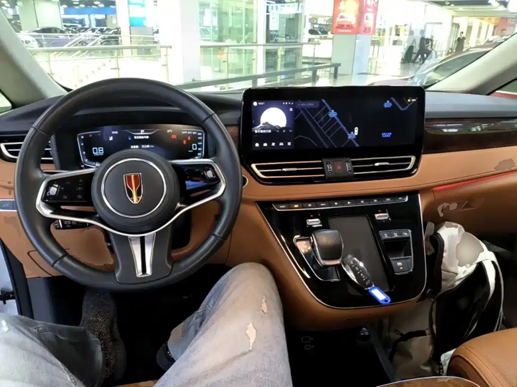 Hongqi Hongqi HQ9 — миниатюра 10