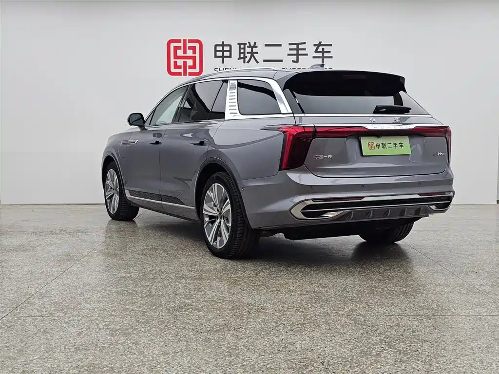 Hongqi E-HS9 2022 690km мест