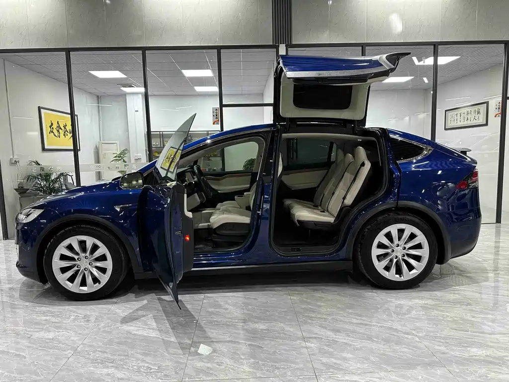TESLA MODEL X
