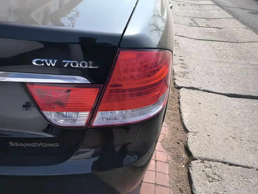 SsangYong Chairman — миниатюра 24