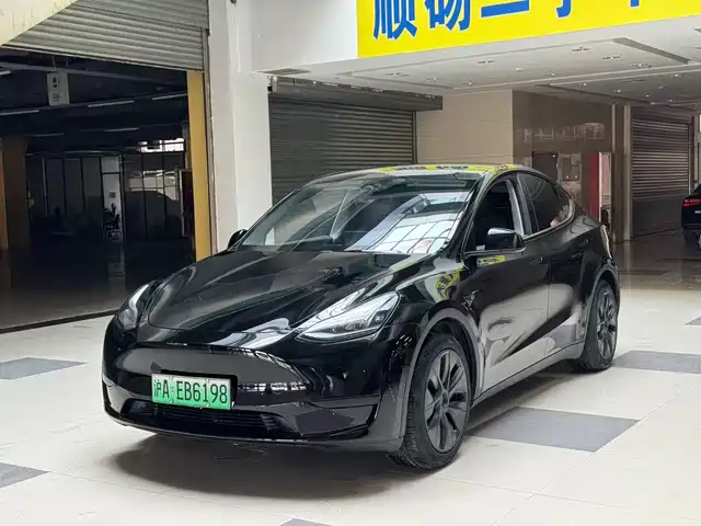 TESLA MODEL Y 2024