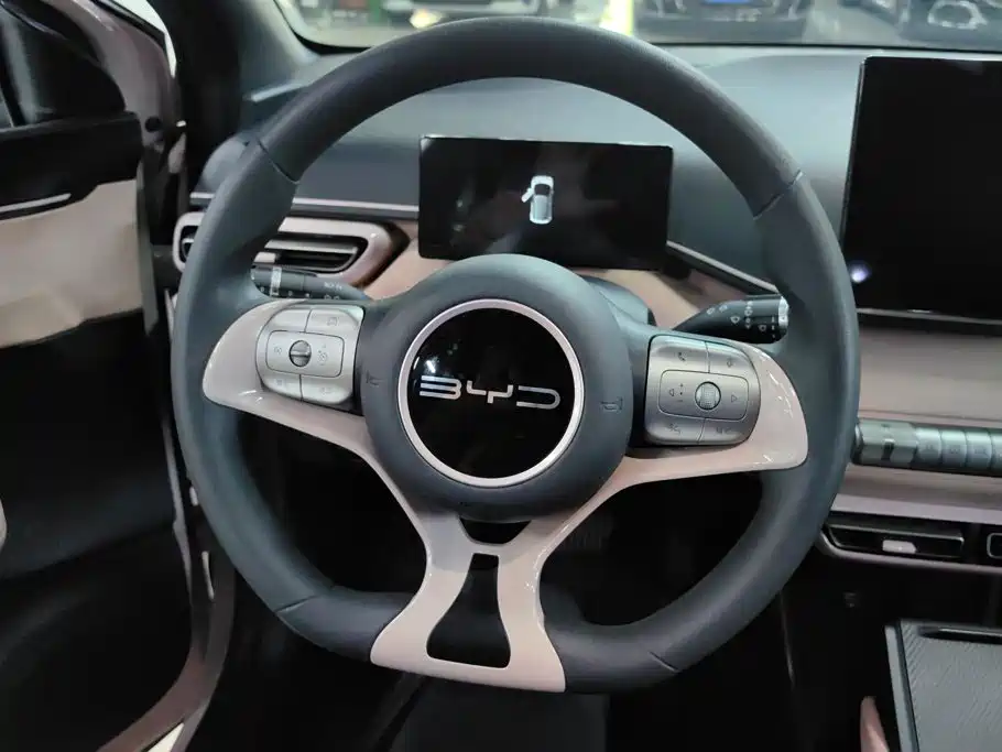 BYD Seagull — миниатюра 15