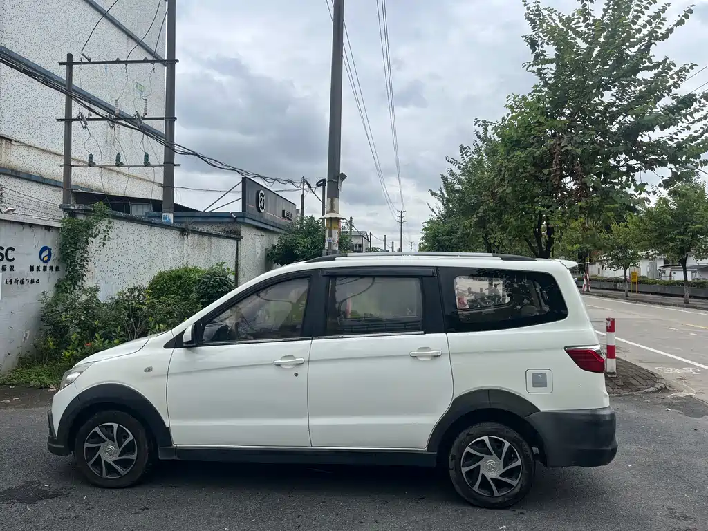 BAW Weiwang M20 — миниатюра 8