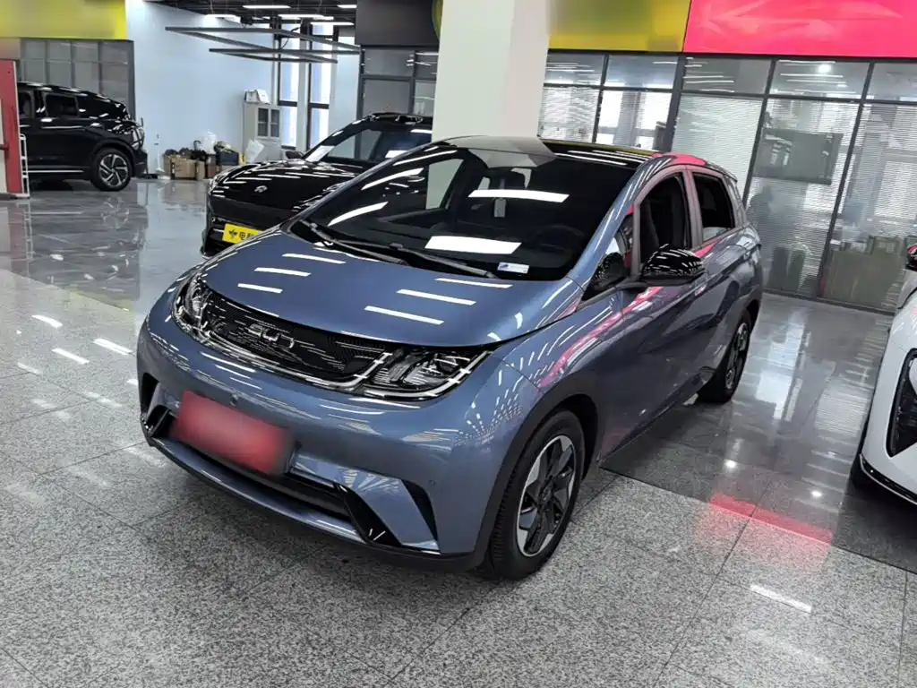 BYD Dolphin — миниатюра 2