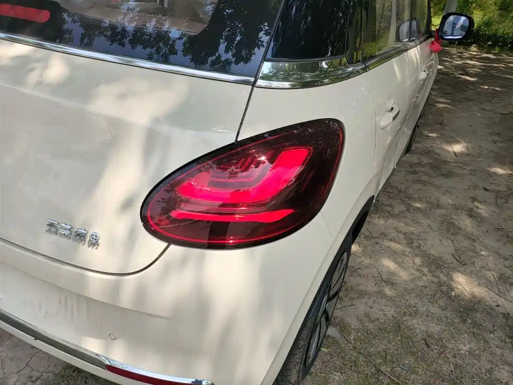 Wuling Binguo 2025 333km Enjoy