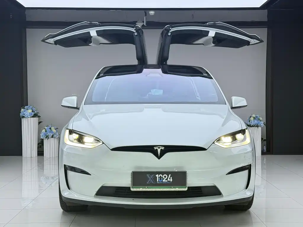 Tesla Model X — миниатюра 2
