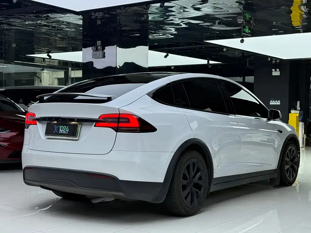 Tesla Model X — миниатюра 4