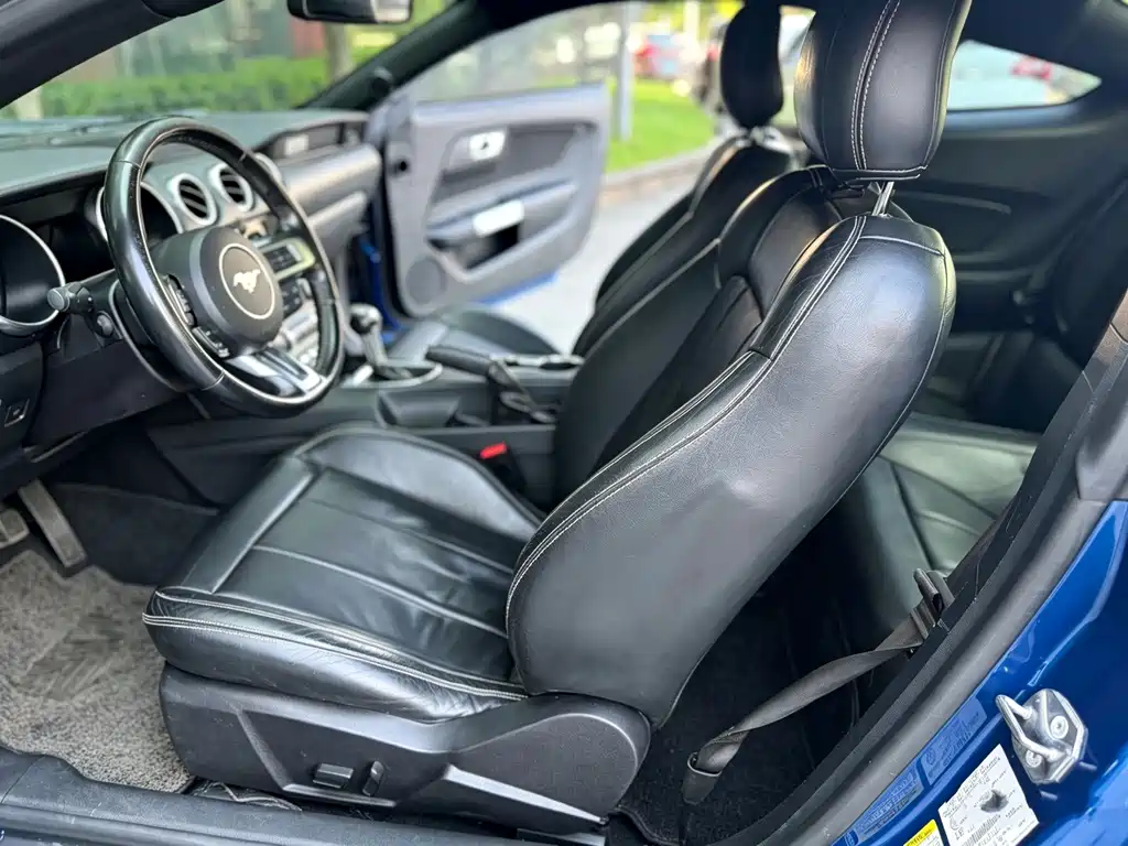 Ford Mustang — миниатюра 5