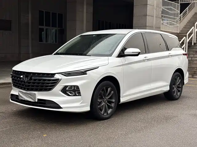 WULING WULING CAPGEMINI 2021