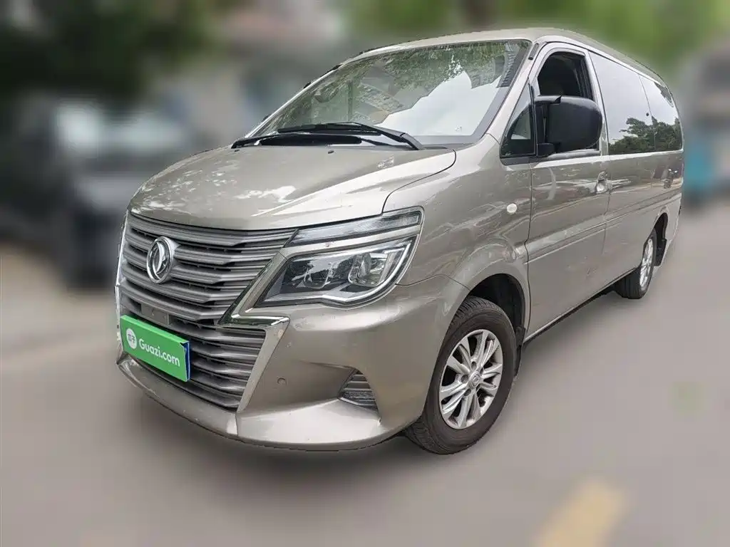 Fengxing Lingzhi 2020