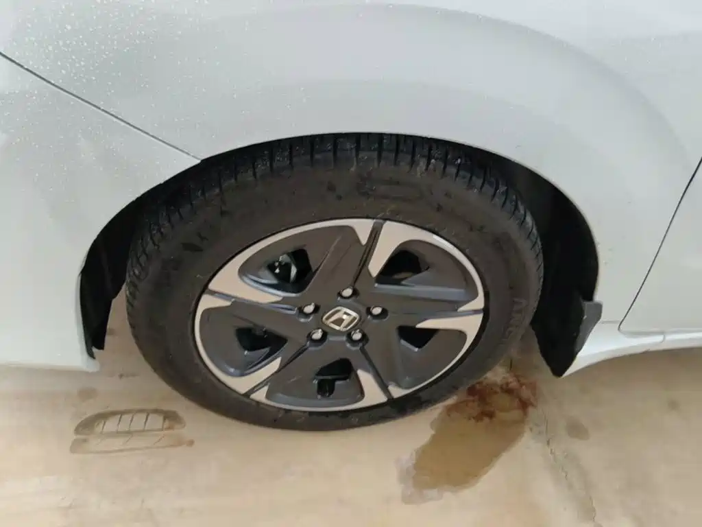 Honda Envix — миниатюра 23