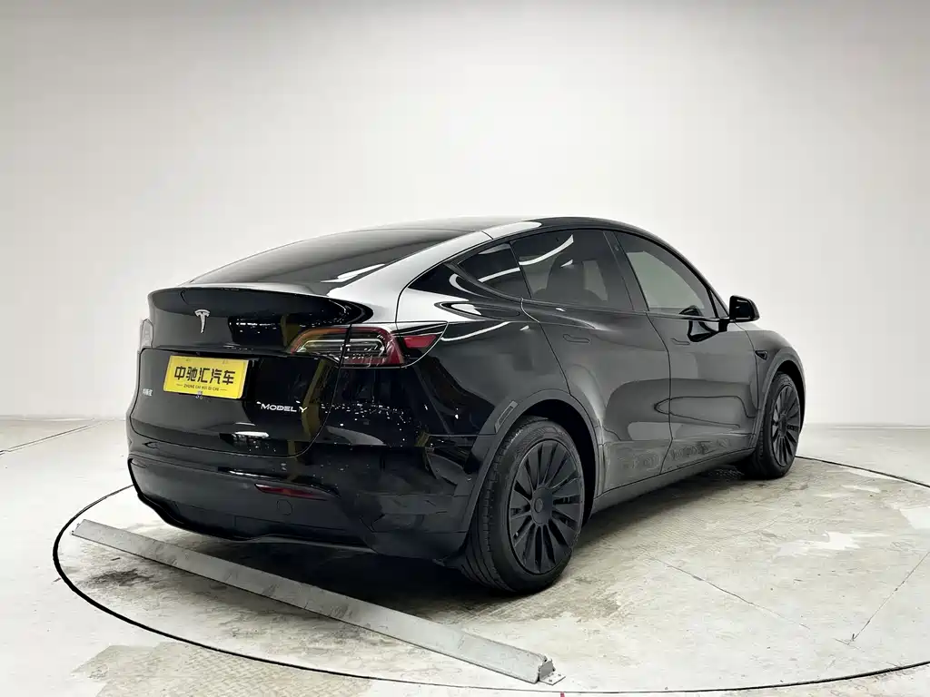 Tesla Model Y — миниатюра 16