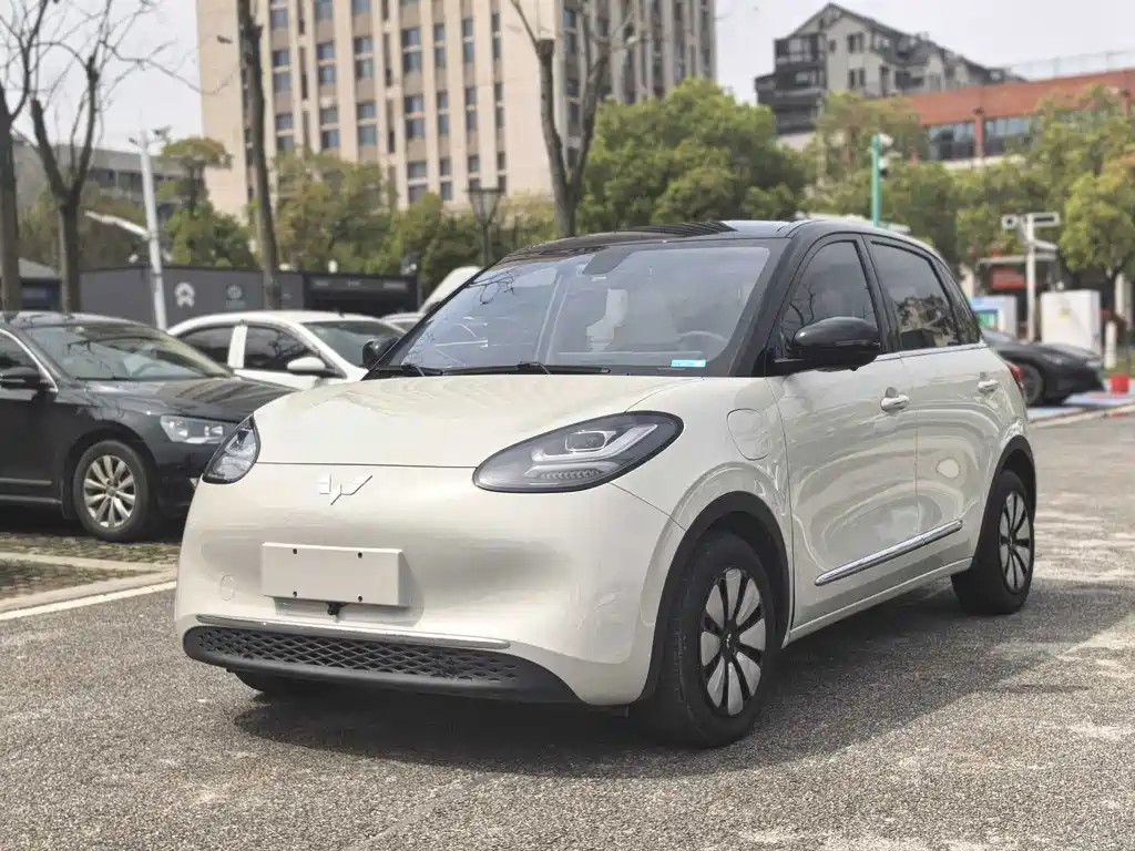 Wuling Bingo 2024