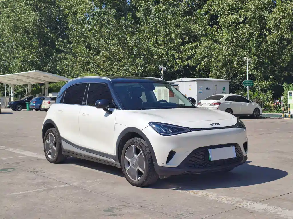 smart Smart #1 — миниатюра 2